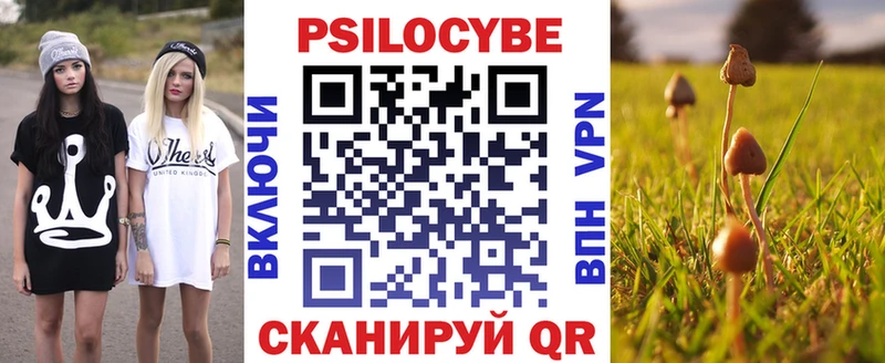 где купить наркоту блэк спрут онион Галлюциногенные грибы прущие грибы Родники
